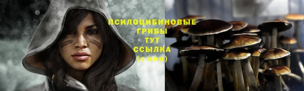дживик Абинск