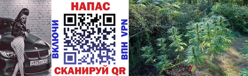 ссылка на мегу   Аксай  Канабис семена 